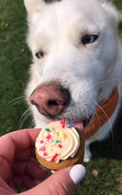 Load image into Gallery viewer, Cupcakes - Mini, 12