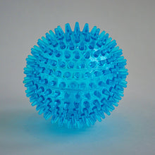 Load image into Gallery viewer, Decker&#39;s Dog Supplies - Spikey Ball
